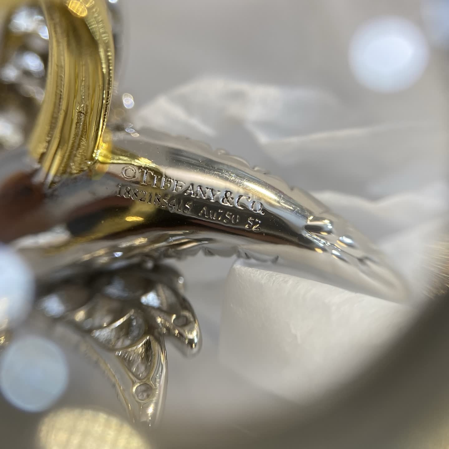 Bird Ring-TJ1275